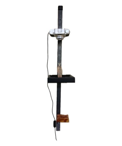 Metal rod with a vintage camera frame and a vertical resin sculpture.